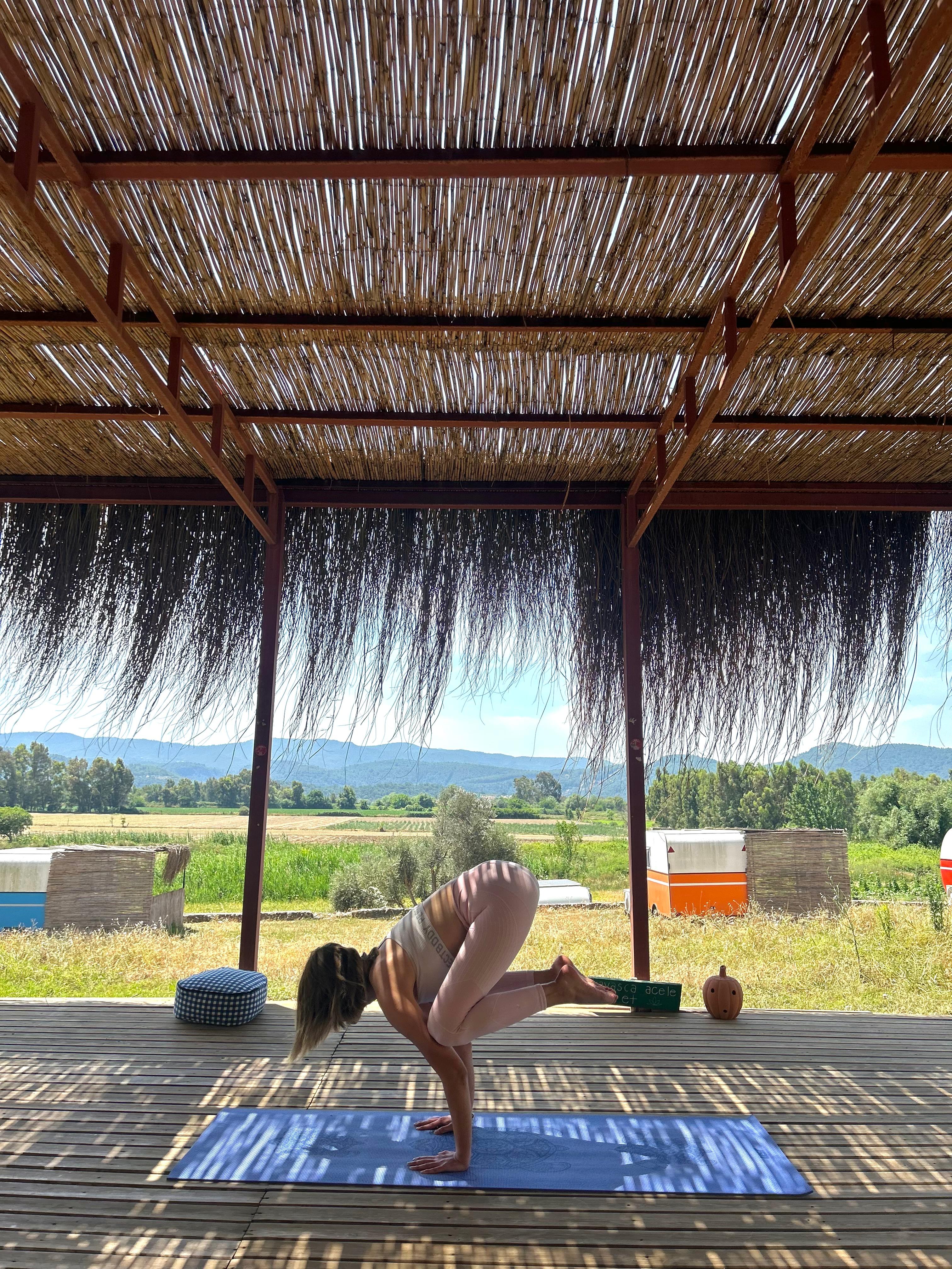 Crow Pose (Bakasana)